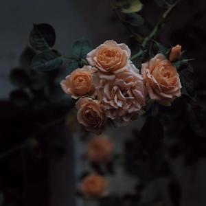 车里被䅤的最深的一天bl
